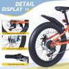 24 Inch Bicycles , Fat Tire Mountain Bike for Boys and Girls Age 10 + Years ,Dual-Disc Brake,Shimano 7-Speed ,Kids Beach and Snow Bicycle